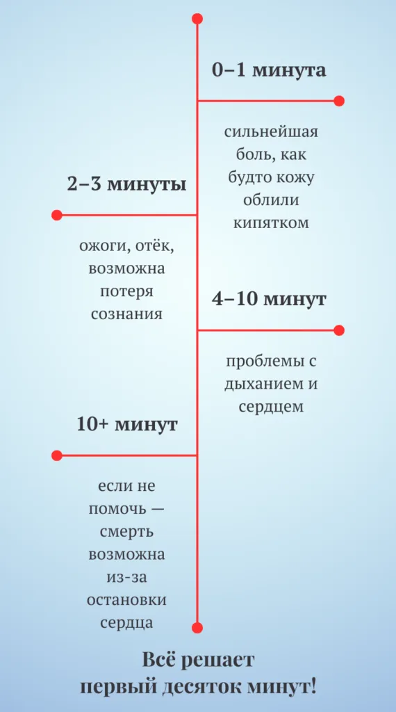 Что происходит при укусе кубомедузы. Таймлайн по минутам