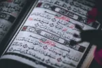 Турецкий язык для туристов: основные фразы, которые реально пригодятся в поездке
